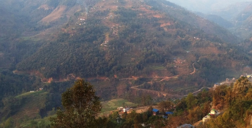 बसाइँसराइले रितिदै जैमिनीका गाउँ