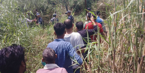 महिला मार्ने बाघलाई  चिडियाखानामा राखिने