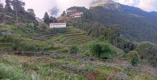 हेलम्बु ककनीमा खेर गइरहेको जमिनबाट आम्दानी