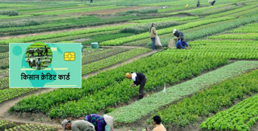 दिक्तेल रुपाकोट मझुवागढीका किसानलाई ‘किसान क्रेडिट कार्ड’