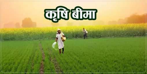 कृषि बीमा व्यवसायमा १२ सय प्रतिशतको वृद्धि, दावी भुक्तानीमा भने सधैं समस्या