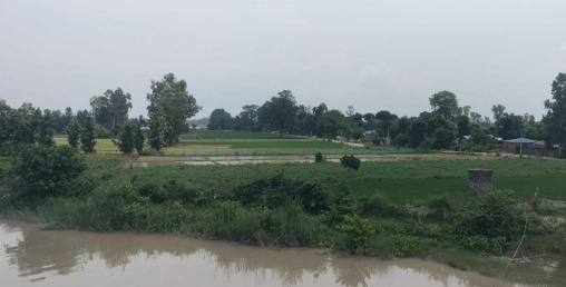 बाढीको त्रासमा रातभर जागराम बस्छन् कुतियाकबरवासी