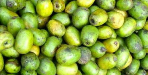 वार्षिक दुई करोडको लप्सी बाहिरिने