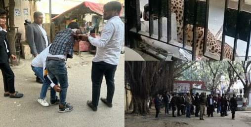 जब बहस भइरहेको इजलासमा छिरेर चितुवाले मान्छे टोक्न थाल्यो