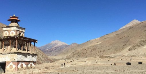 तिब्तीयन लुटेराले डोल्पाको गुम्बाको बहुमूल्य मूर्ति चोरे
