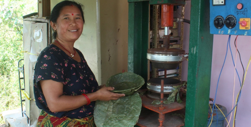 प्लास्टिकजन्य सामग्री विस्थापन गर्न  टपरी उद्योग सञ्चालन