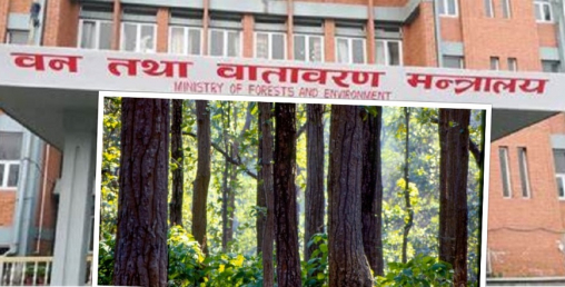 बजेटले बनमाथि गर्यो बेइमानी