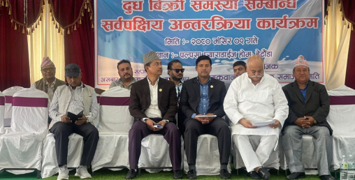 डेरीको समस्या समाधान नगरे मन्त्रालय अगाडी गाईभैंसी बाध्ने चेतावनी