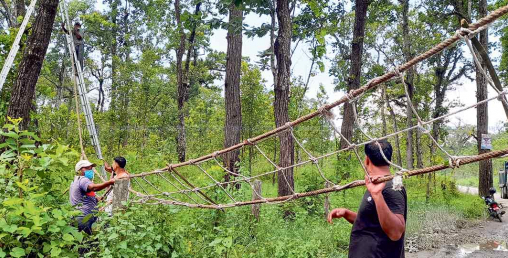 बाँदरलाई पुल !