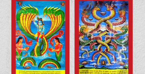 आज श्रावण शुक्ल पञ्चमी, नागको पूजा आराधना गरी मनाइँदै