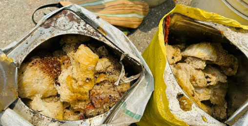 बेवारिसे अवस्थामा भेटिएको २२ किलो नक्कली मह नष्ट