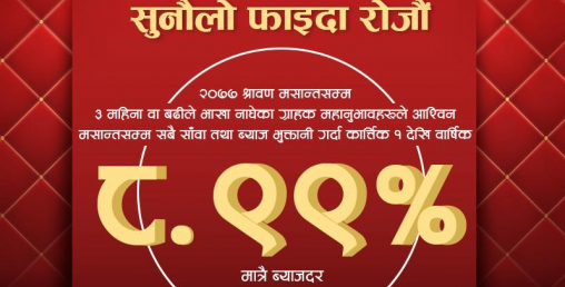 एनआइसी बैंकमा भाखा नाघेका कर्जाहरूको ब्याजदर ८.९९ प्रतिशत कायम गर्न ९ दिन बाँकी