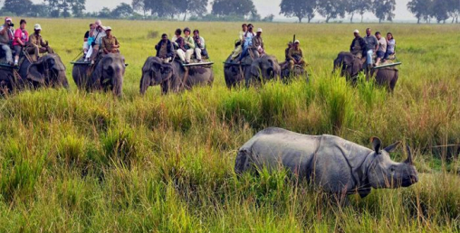 निकुञ्ज विभागमा एक वर्षमा केके काम भए ?