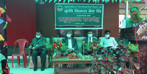 कृषि विकास बैंक नेपालगञ्जको  पिपरीमा