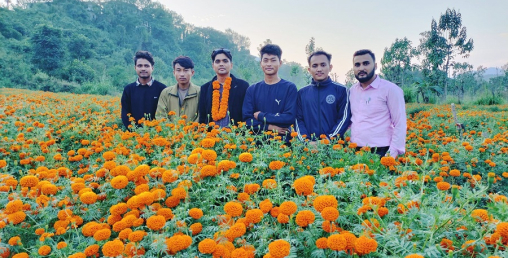 पढ्दै कमाउँदैः विद्यार्थी फूलखेतीमा रमाउँदै