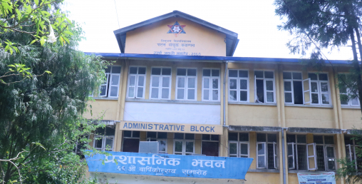 पाटन क्याम्पसमा भूकम्पपछि टाँसिएका रातो स्टिकर अझै हटेनन्