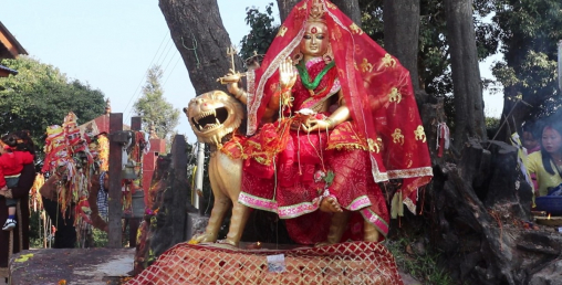 दशैंमा पाथीभरामा २५ हजारभन्दा बढी जनाले गरे दर्शन