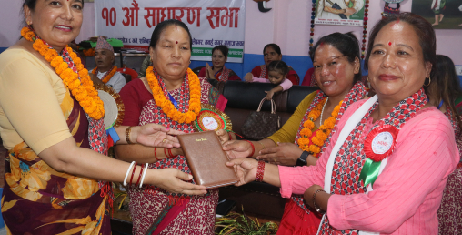 सीप सहकारीमा, मन राजनीतिमा तर मिल्यो यस्तो सफलता