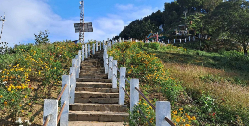 मझुवागढीलाई ‘फूलैफूलको पहाड’ बनाइने
