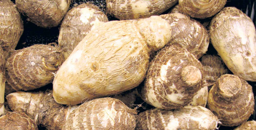 अदुवाले भन्दा पिँडालुले पायो बजार, भाउ पनि महँगो
