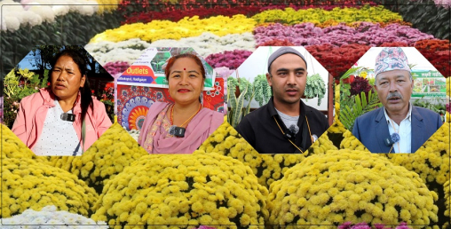 पुष्प मेलामा पनि आर्थिक मन्दीको प्रभाव, बिकेनन् फूल, व्यवसायी निराश