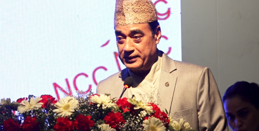 नेपाली उत्पादनको ब्राण्डिङ गरी निर्यात प्रवर्द्धन गर्न आवश्यक: मल्ल