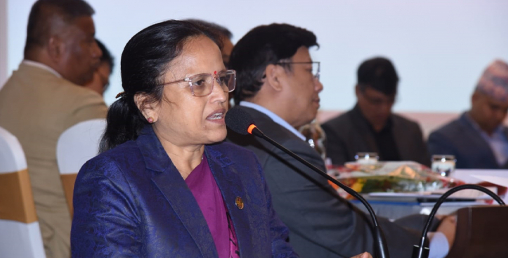 ‘अब संसारसँग प्रतिस्पर्धा गर्ने क्षेत्र सूचना प्रविधि नै हो’ : मन्त्री शर्मा