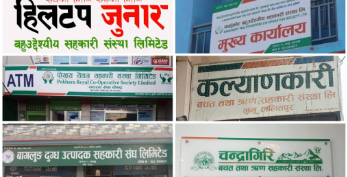 ढुक्क छन् राम्रा सहकारी, सुरक्षित छ वित्तीय अवस्था