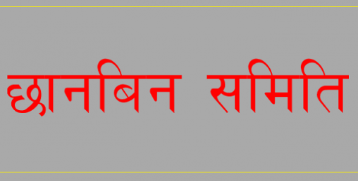 रासनकार्डमा भएको अनियमितताबारे अध्ययन गर्न समिति गठन