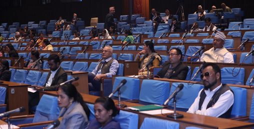 दैनिक उपभोग्य वस्तुको कालोबजारी नियन्त्रण गर्न सांसदहरूको माग