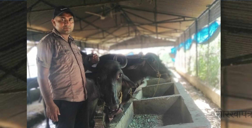 आफ्नै मेहनतका कारण सफलताले पछ्याएका राजकुमारको कृषि कथा