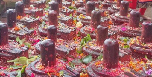 १०८ शिवलिङ्ग प्रतिस्थापन