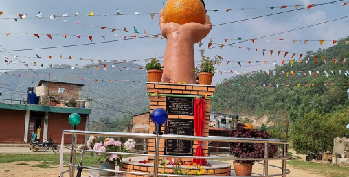 छ लाख लागतमा मनकामनामा सुन्तलाको प्रतिमा स्थापना