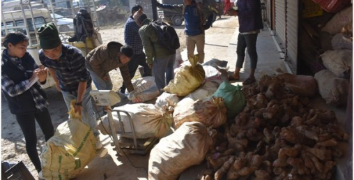 किसानलाई तरुल खन्ने र बेच्ने चटारो, नजिकियो माघे संक्रान्ति