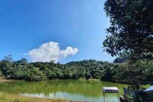 रौता र चौदण्डीमा पर्यटकको सङ्ख्या ह्वातै बढ्यो