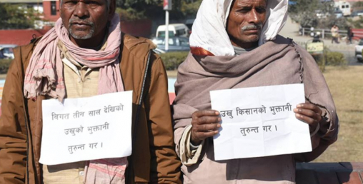 उखु किसानको पैसा नदिइ अन्नपूर्ण सुगर मिलका सञ्चालक फरार
