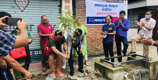 माछापुच्छ्रे बैंकद्वारा एक सय बिरुवा वृक्षारोपण