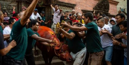 खःमेय बध गरी जात्रा सम्पन्न, ब्रह्मायणी जात्रा सुरु