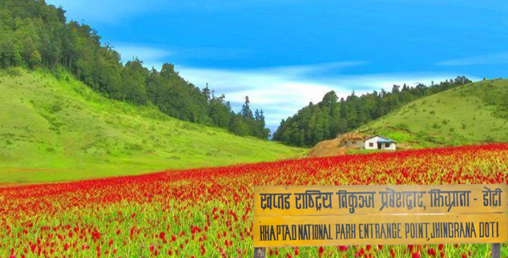 खप्तडमा आध्यात्मिक सम्मेलनको तयारी पूरा