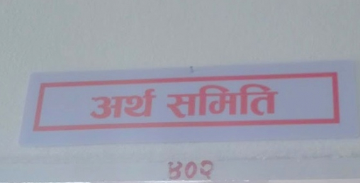 राजश्व छली रोक्न कडा कानूनी व्यवस्था आवश्यक