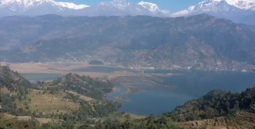 स्वरोजगार बन्न चाहनेहरुलाई बतास एग्रोको गोल्डन अफर