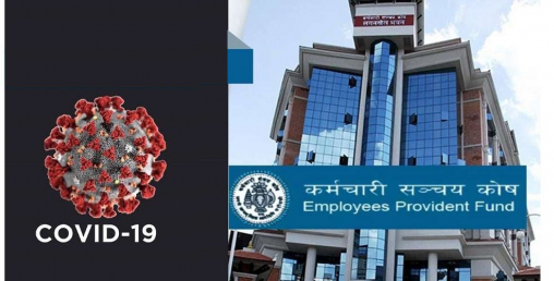 कर्मचारी सञ्चय कोषले शुरु गर्यो अनलाइन भुक्तानी सेवा