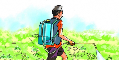 कृषि क्षेत्रमा मात्रै भक्तपुर नगरपालिकाको  अढाई करोड बजेट