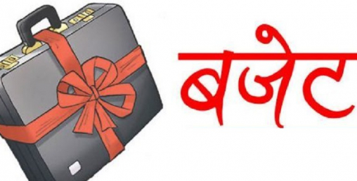 खुद्रे आयोजनामा बजेट माग्दै सांसद, गाउँगाउँमा पुगेको स्थानीय सरकारलाई संघीय संसदबाटै वेवास्था