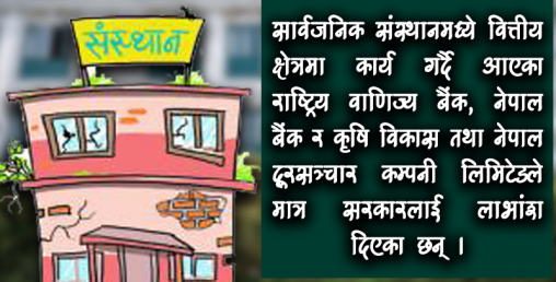 अब प्राधिकरण मोडेलमा सार्वजनिक संस्थान, मस्यौदा तयार पार्दै अर्थ
