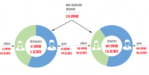 ९ लाख नेपाली बेरोजगार, पाँच लाख ११ हजार पुरुष र तीन लाख ९७ हजार महिलाले काम पाएनन