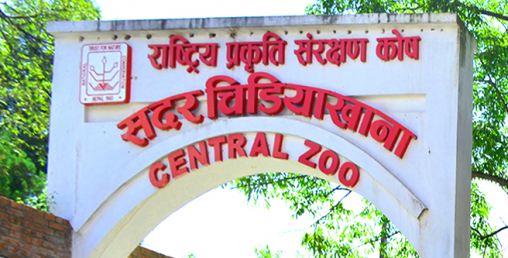 चिडियाखानाको आम्दानी बढ्यो,  ७ लाख नेपालीले घुमे याे वर्ष