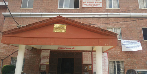 २१ करदाताले तिर्छन् करको आधा हिस्सा