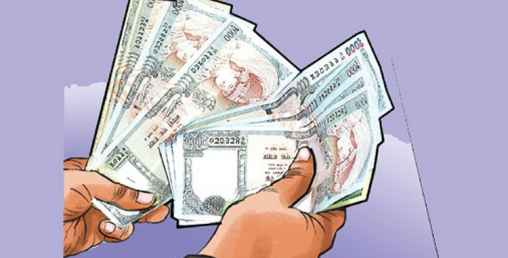 दोगडाकेदार गाउँपालिकाका टुहुरा बालबालिकालाई भत्ता