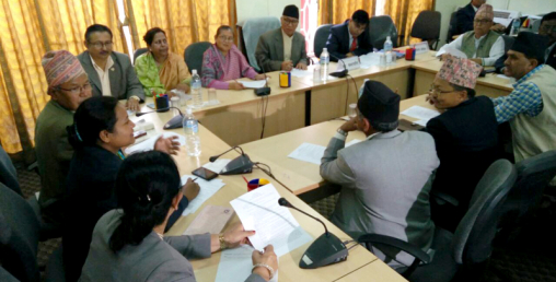 मिनी संसद्का निर्देशन अलपत्र,  किन वेवास्था गर्छन् संसदीय निर्देशन ?